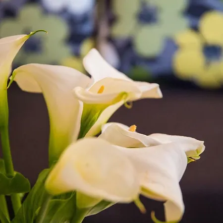 Dard بيت ضيافة