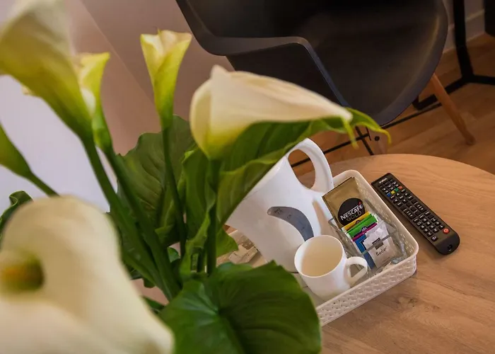 达尔德别墅酒店